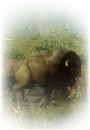 Иконка для "Strange Bison"